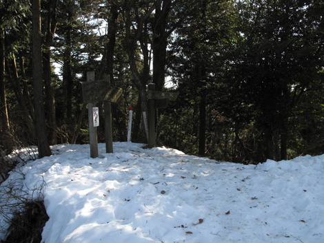 20160128hike (240)